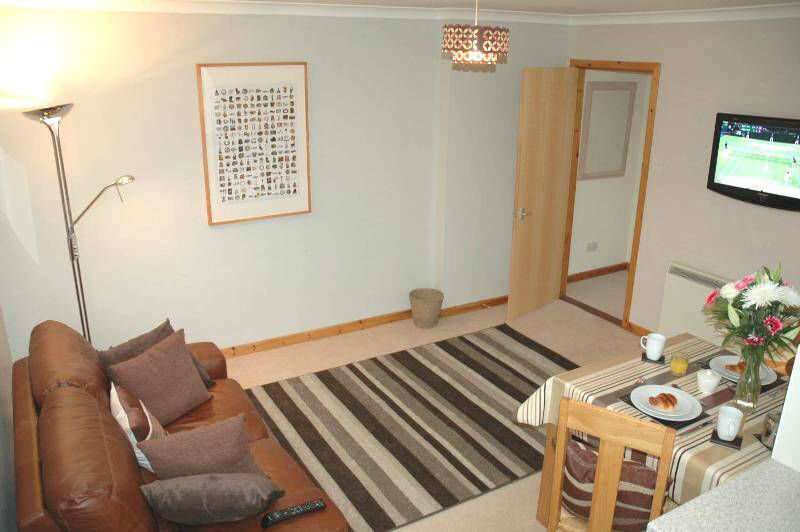 Spacious living room with wool carpet