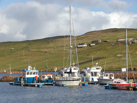 Vidlin Marina