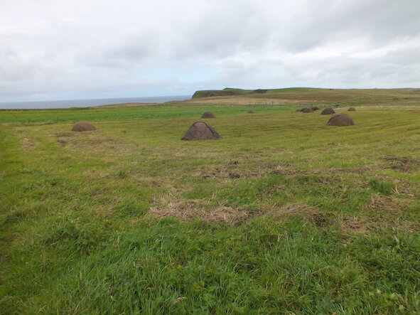 Experience our way of life Crofting Life