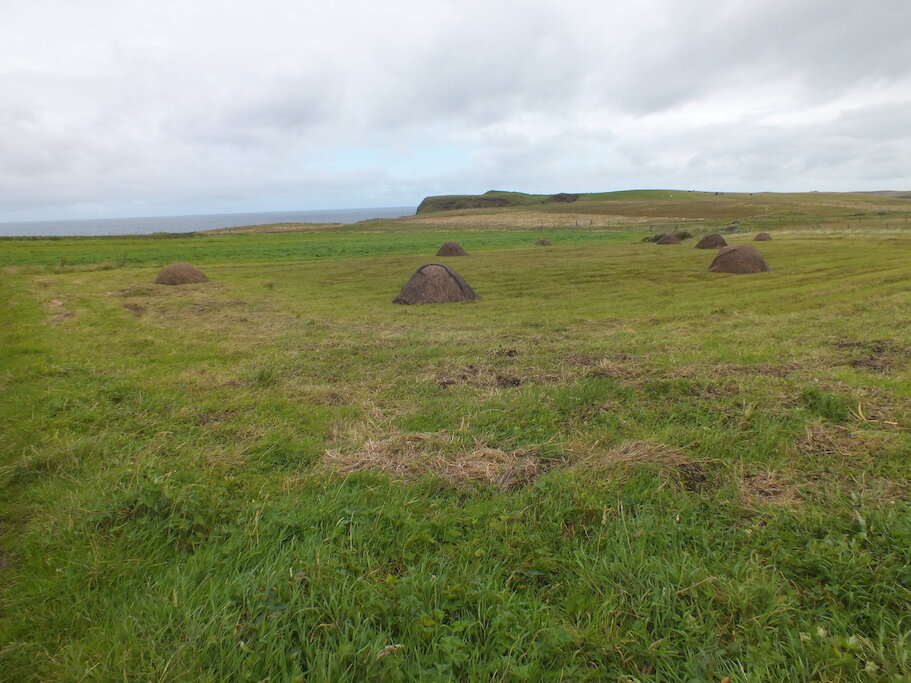 Experience our way of life Crofting Life
