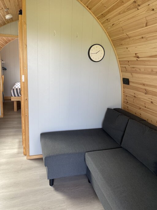 Living room/ sofa bed